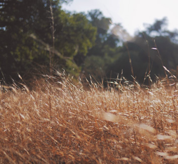 顶级足球联赛争夺激烈，球队实力对决